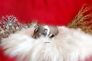 10 días / Deeply in Your Mind