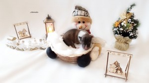 1 día - Asturshelkie Dance with Me